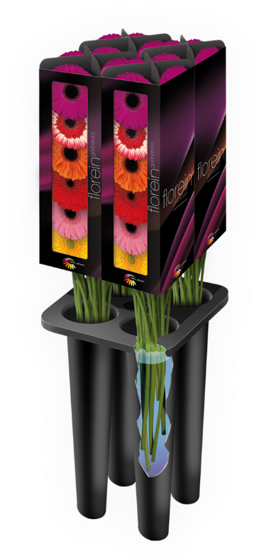 Florein Gerbera's kas impressie